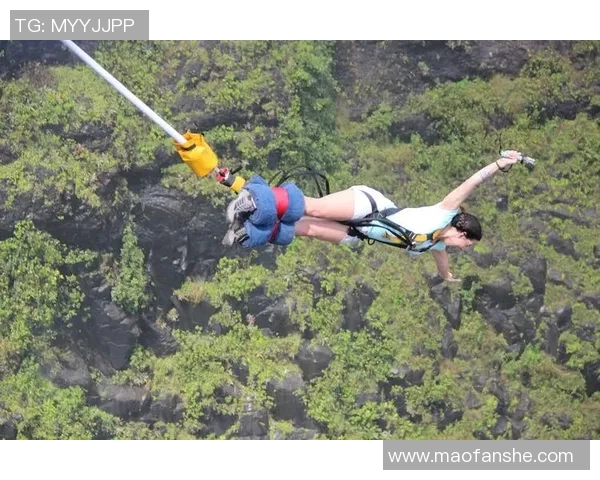 极限运动的魅力与挑战：深入了解上海极限运动队的拼搏精神与团队力量